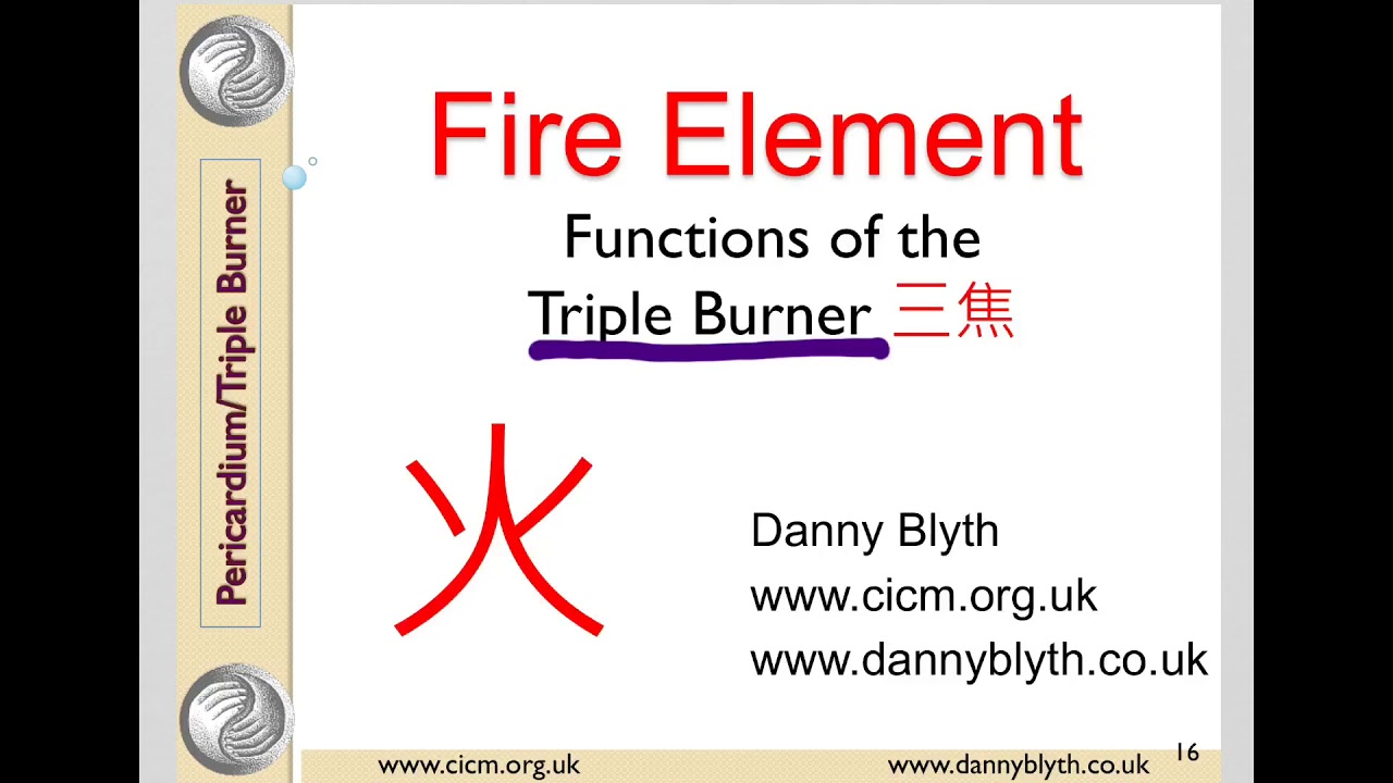 Triple Burner/San Jiao in Traditional Chinese Medicine