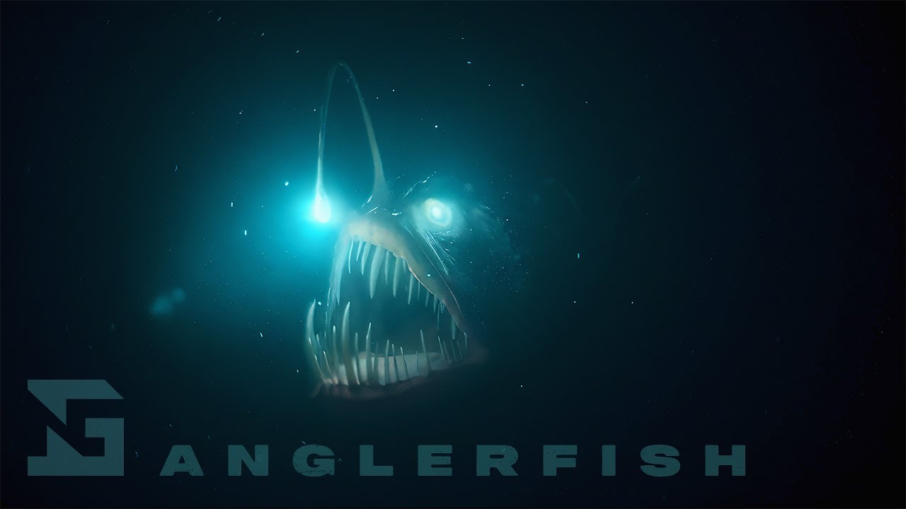 Noah Grant - Anglerfish (Official Lyric Video)