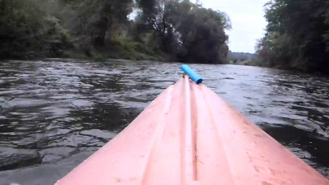 Bobr River