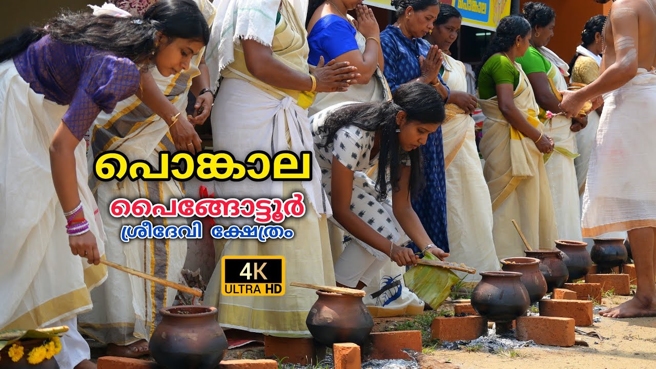 പൊങ്കാല | പൈങ്ങോട്ടൂർ ശ്രീദേവി ക്ഷേത്രം, 2024 | Ponkala, Sreedevi Temple, Paingottoor #viswanathanmv