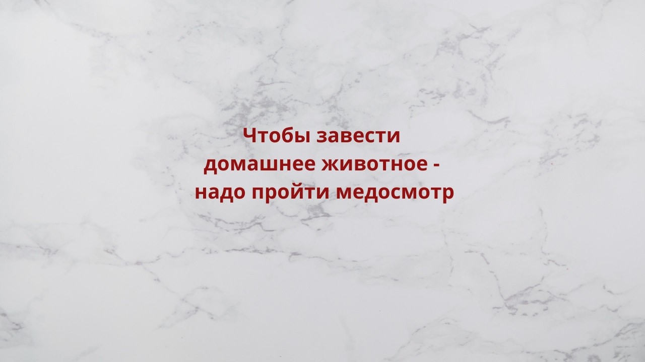 Чтобы завести домашнее животное - надо пройти медосмотр!