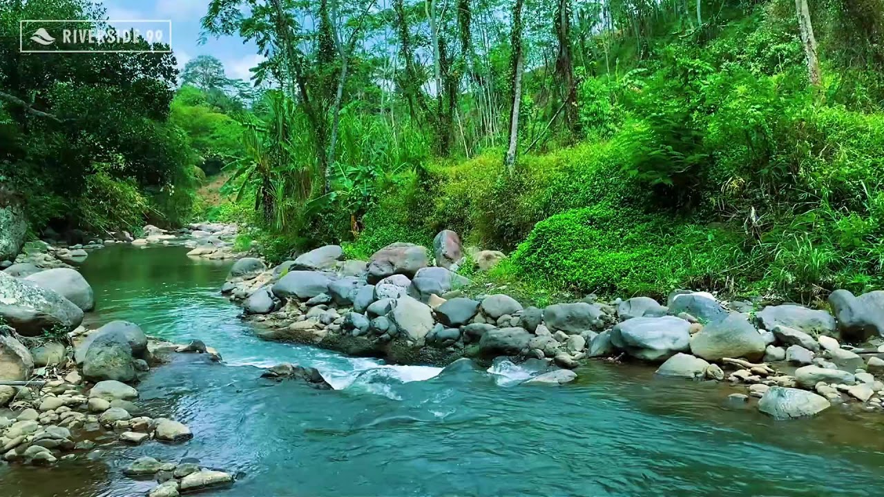 River Sounds for Sleeping 24/7 | Deep Relaxing Water Flow for Instant Night Sleep and relaxation #2