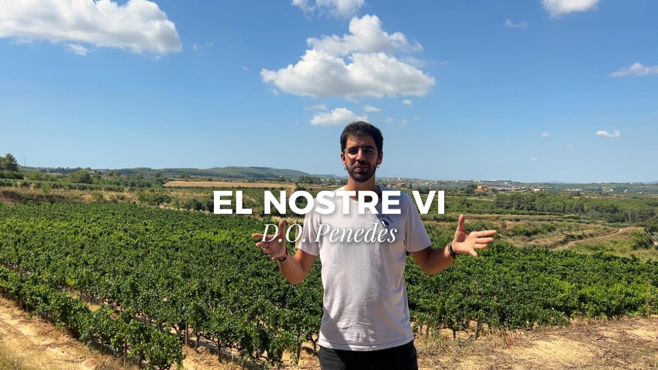 EL NOSTRE VI &ndash; Cap&iacute;tol 5 &ndash; D.O. Pened&egrave;s
