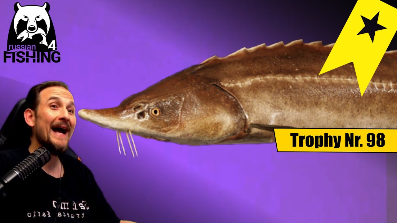 Russian Fishing 4 - Tunguska - Trophy Spot! Sibirisches Sterlet - Trophy Nr. 98
