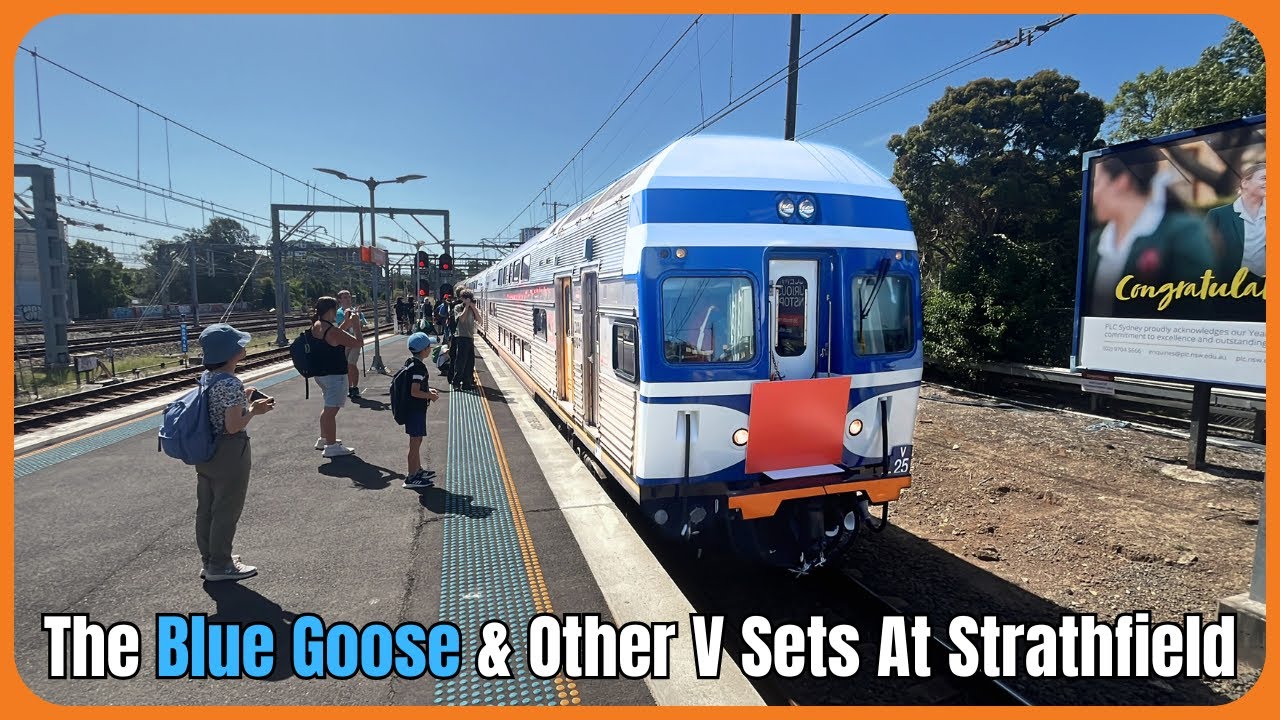 Jason's Transport Vlog 111: The Blue Goose & Other V Sets At Strathfield