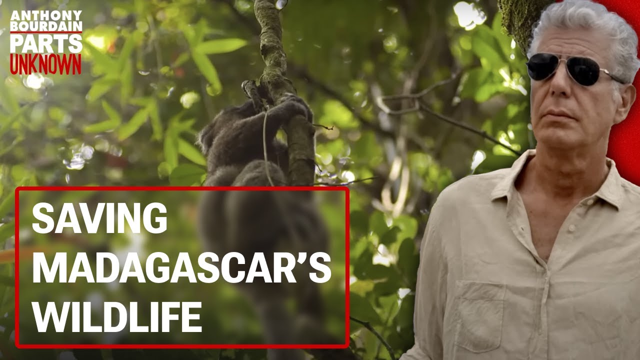 The Realities of Madagascar Travel | Anthony Bourdain Parts Unknown