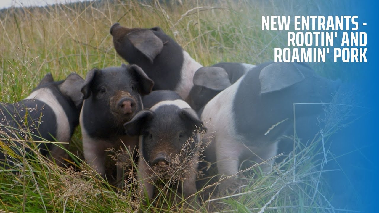 New Entrants - Rootin' and Roamin' Pork