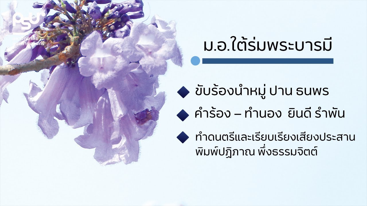 เพลง : ม.อ.ใต้ร่มพระบารมี