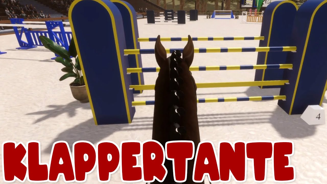 Klappern gehört zum Handwerk 🐴 Pro Show Jumping