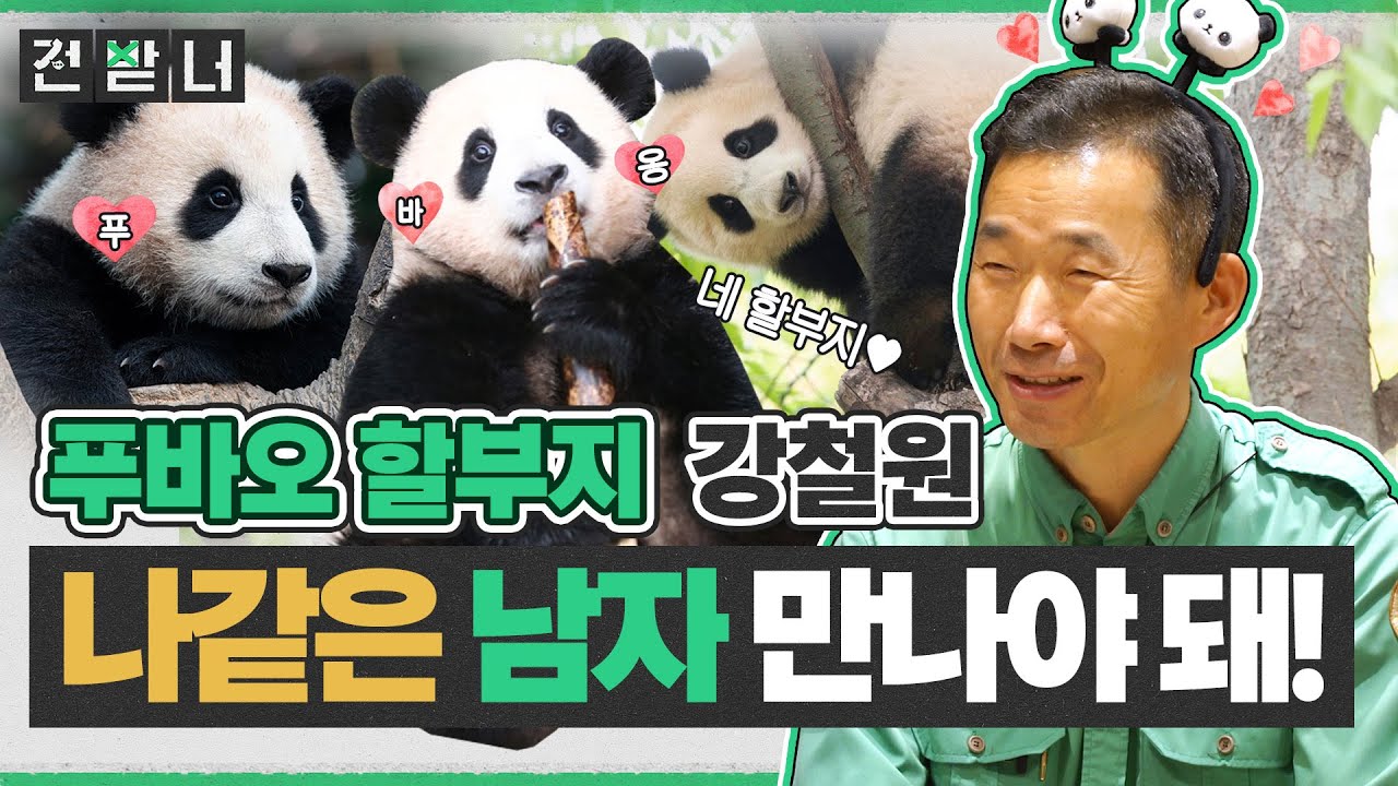 ENG/CHN) [전받너 EP.7] '용인 푸씨' 푸바오, 중국행? 진짜_진짜_최종 입장 표명! with 강철원 사육사