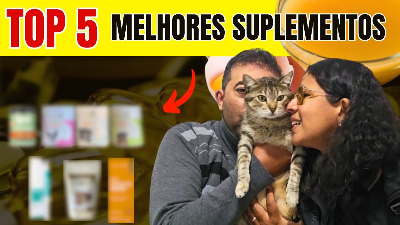 TOP 5 MELHORES SUPLEMENTOS PARA GATOS