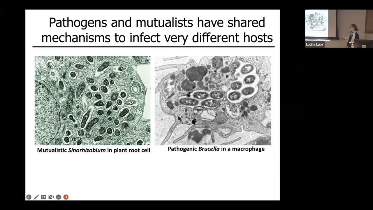 Cara Haney: Getting to the root of plant-microbiome interactions