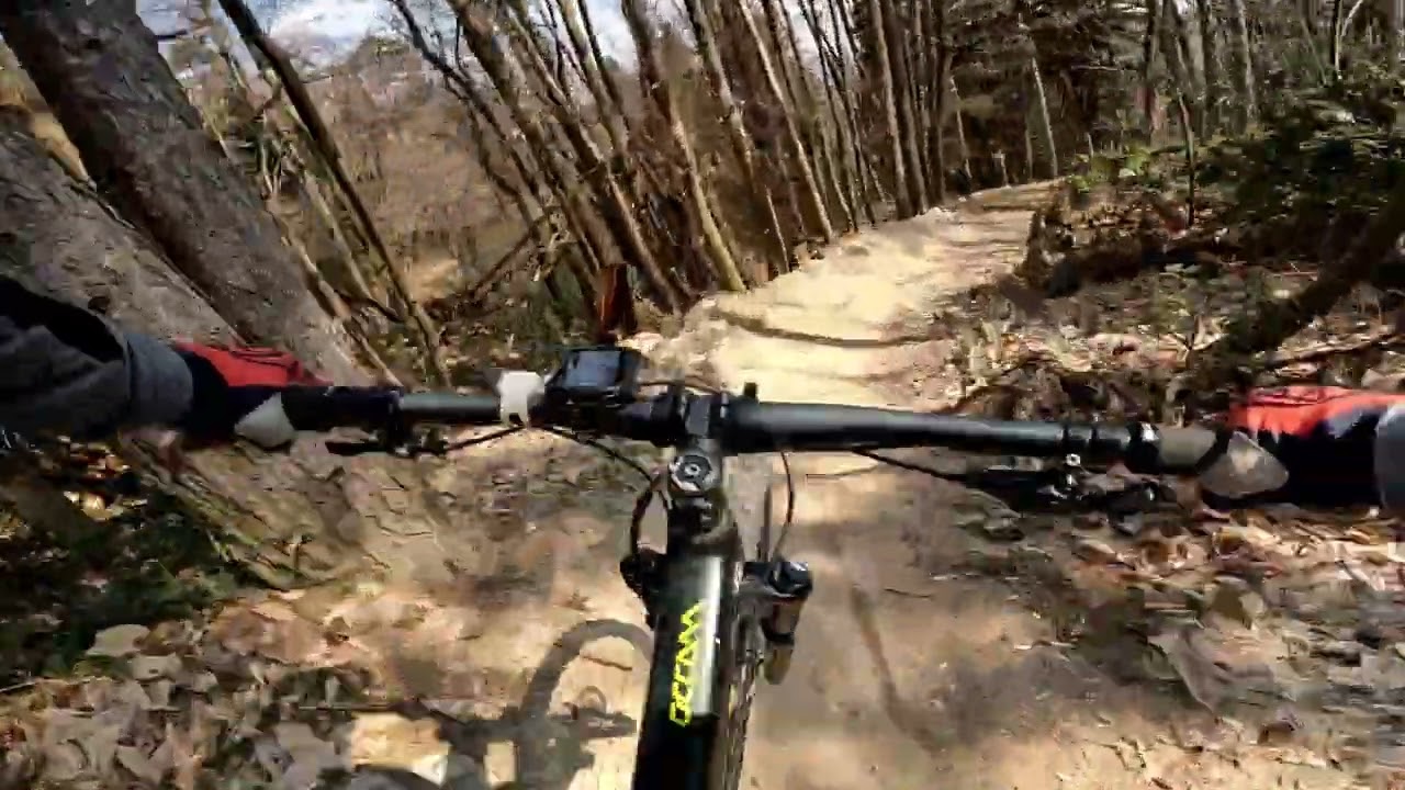 Glen-Freeride-Dh, Pineta loiano(BO)