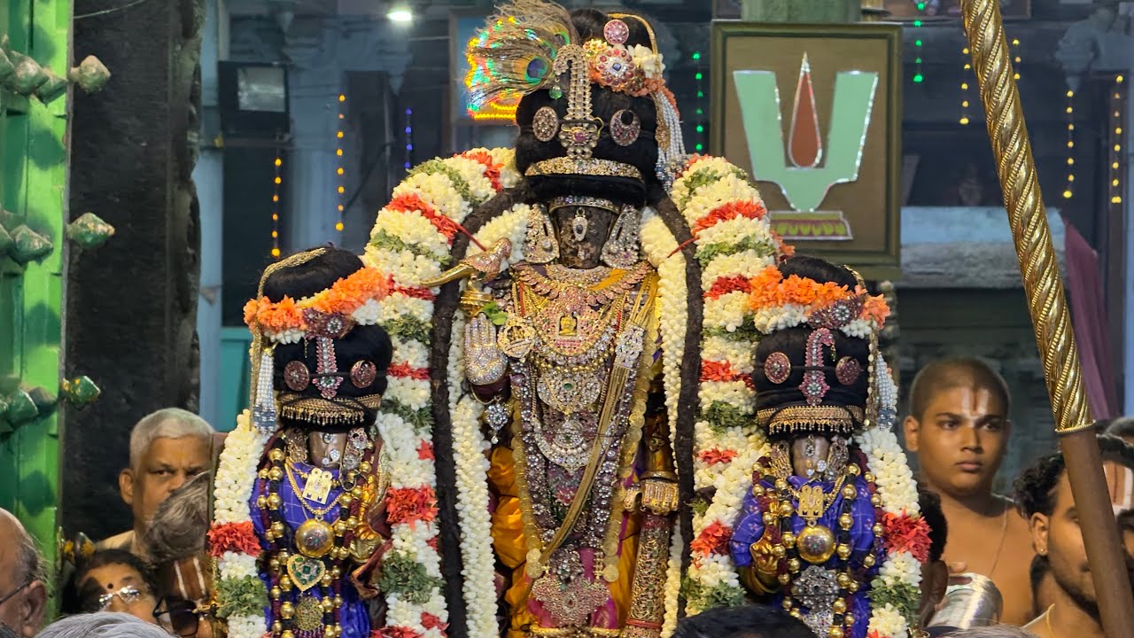 கண்ணாடி பல்லக்கு