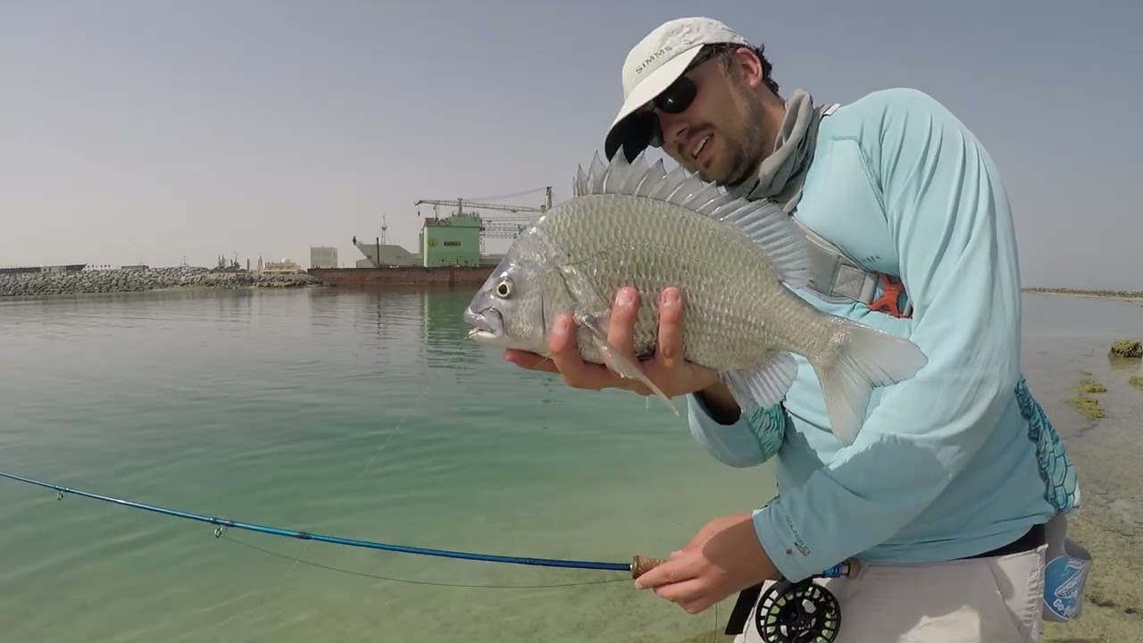 Going Deep: Targeting Pikey Bream on the Drop-offs | Abu Dhabi Fly Fishing
