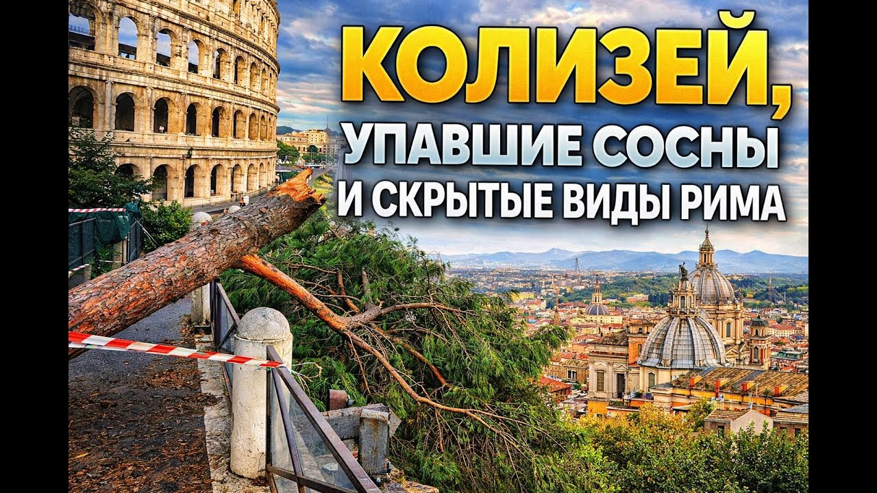 Колизей, упавшие сосны и скрытые виды Рима