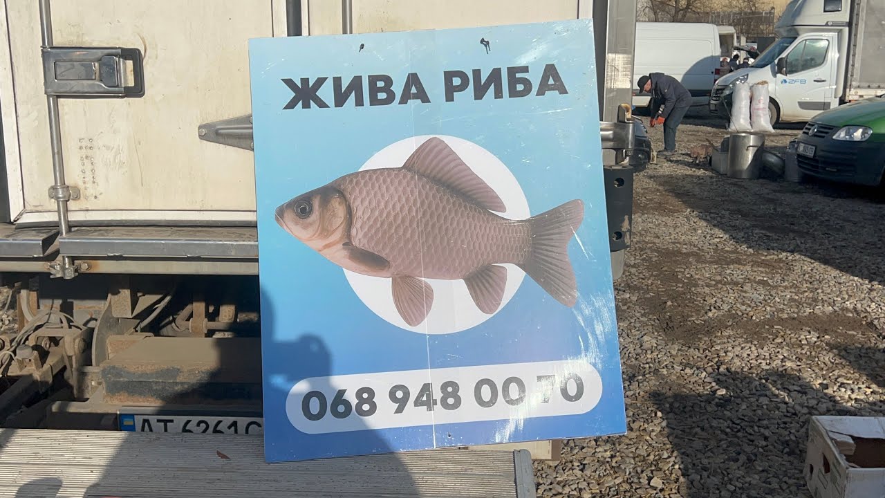 😱ЯКІ ЦІНИ НА НАСІННЯ І РОЗСАДУ В 2026 році‼️#ринок #тварини #люди #кури #насіння #розсада 