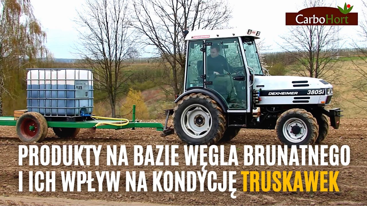 Produkty na bazie węgla brunatnego i ich wpływ na kondycję truskawek