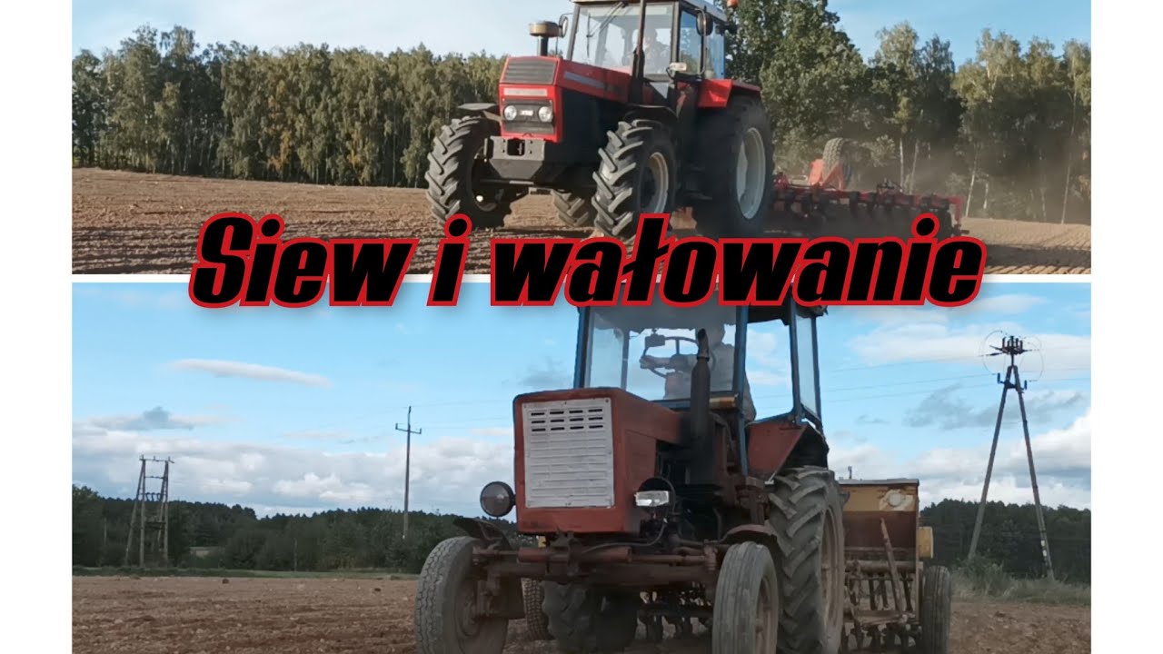 🔥Siew i wałowanie ZTS 12245 i T-25  Wały Agro Factory/ Siewnik poznaniak 🔥Oporowo 🔥