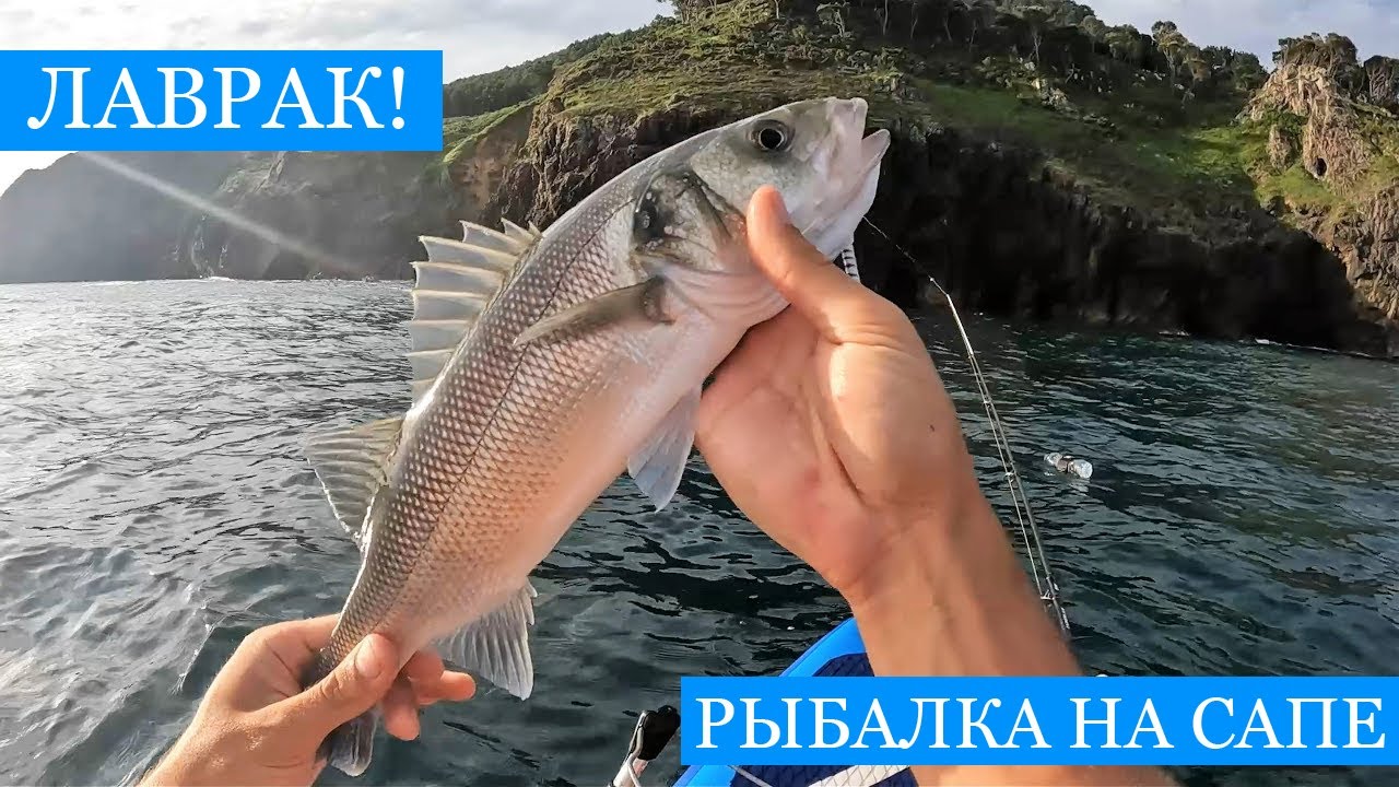 Ловля ЛАВРАКА! Сибас - СПЕЦВЫПУСК! Троллинг на сапе, нырялка и немного экзотики!)