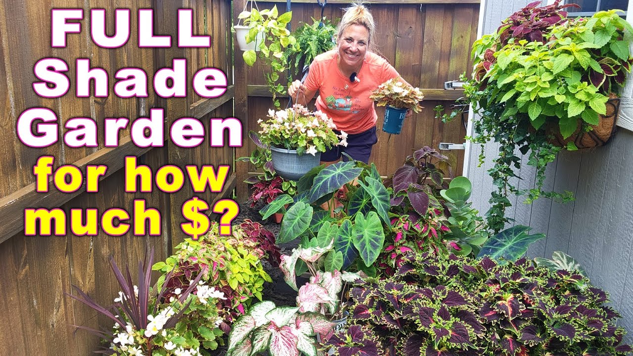 Shade Garden Steals | New Plants, Bold Color & Big Potential