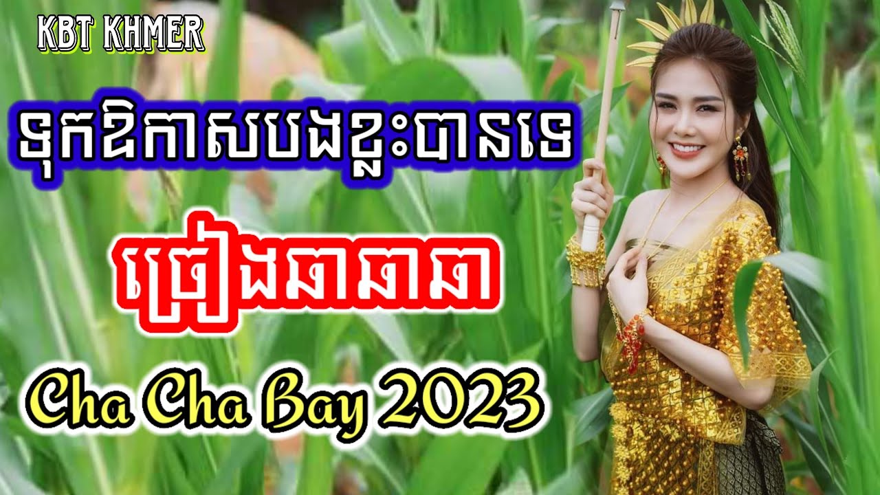 ទុកឱកាសបងខ្លះបានទេ | Nhạc khmer Cha Cha Cha 2023 | Nhạc khmer chọn lọc 2023 - Cover Lâm Thọi