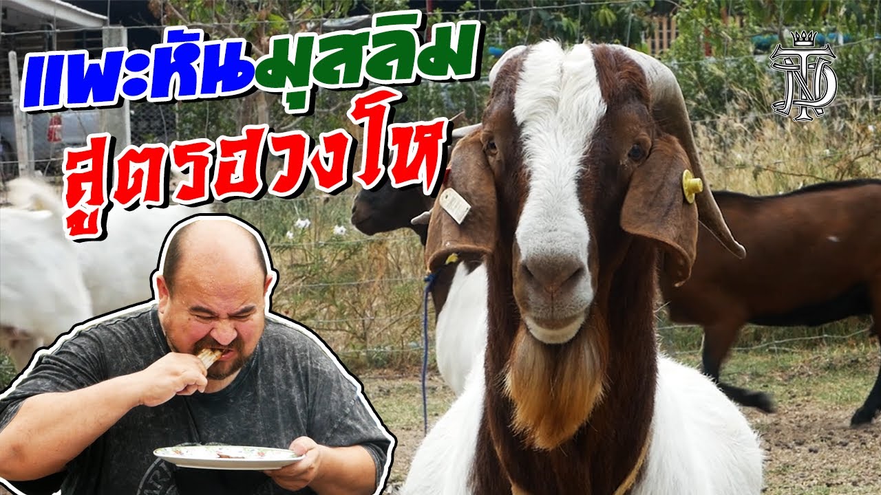 แพะหันมุสลิม สูตรฮวงโห