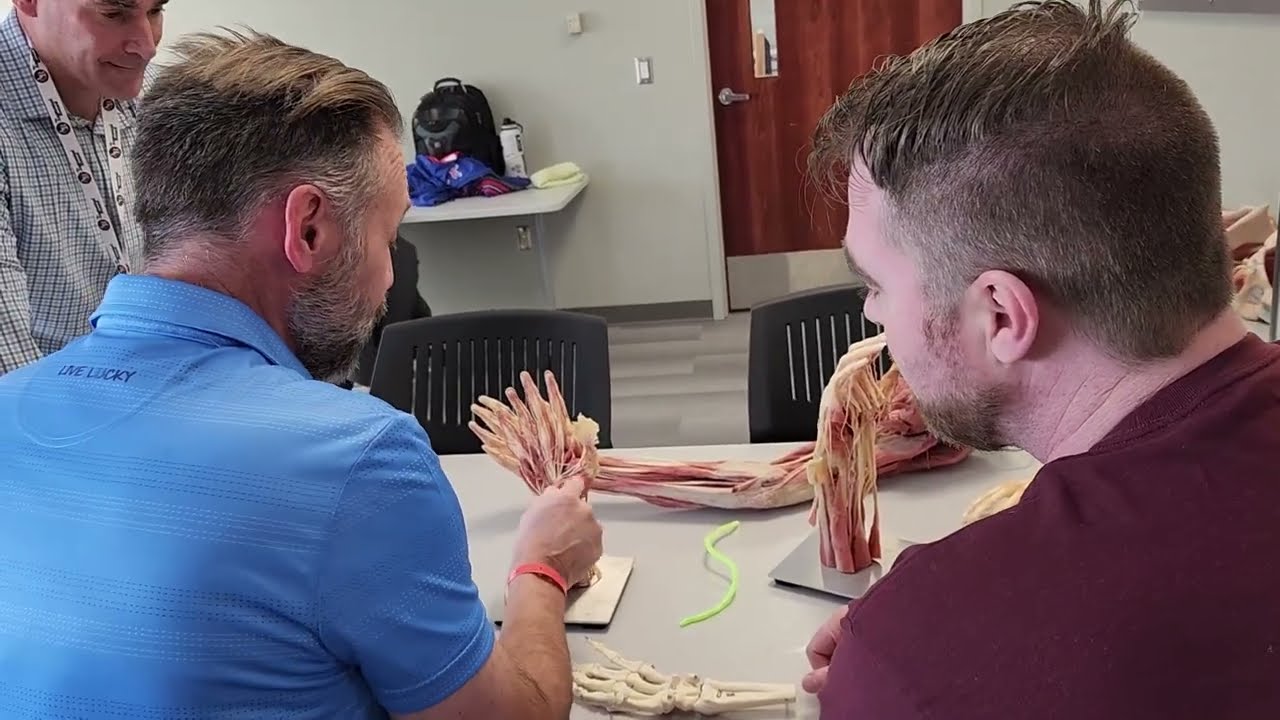 DPT Lab Immersions Video v2