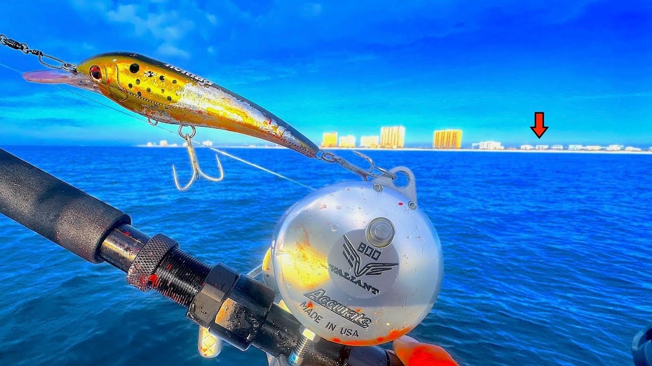 Fishing Over HUGE! Bait Schools in PENSACOLA Beach for My DINNER!...[Catch, Clean, Cook]