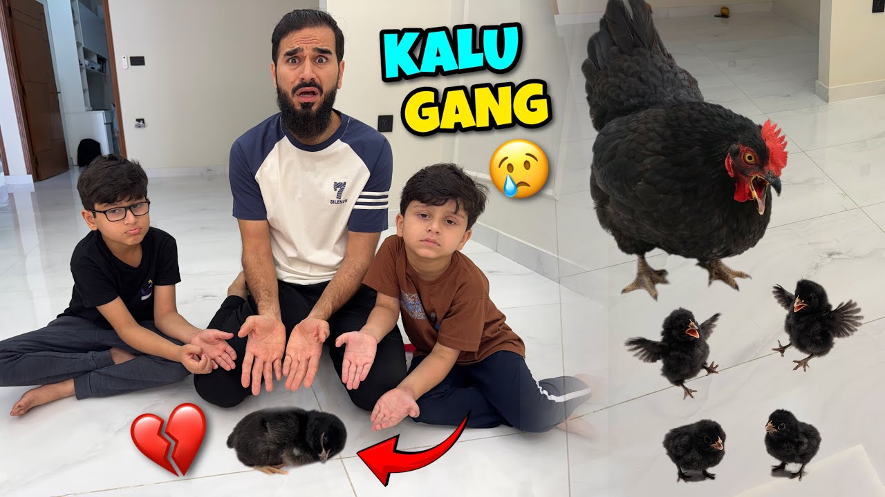 KALU GANG PER HAMLA HOGAYA 😢 HAMARA PYARA CHOOZA 💔