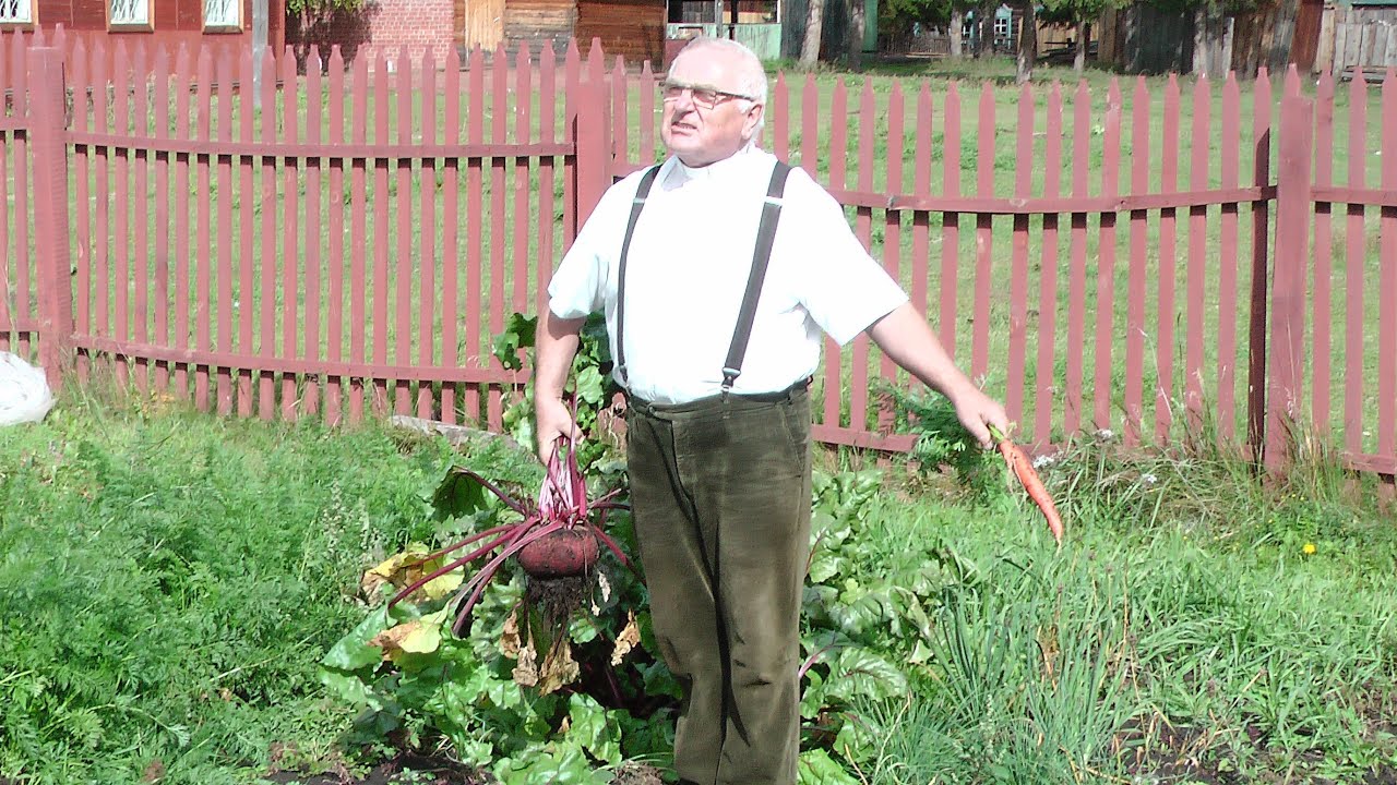 Polskie serce z głębi tajgi