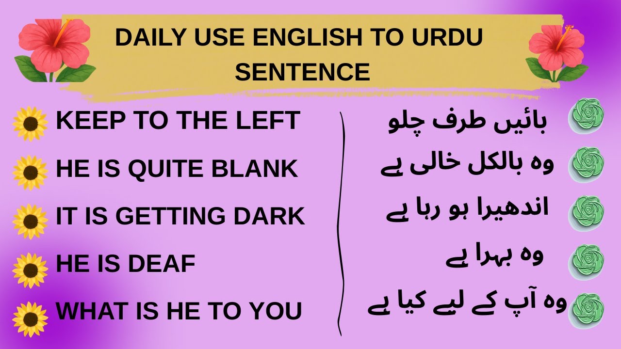 Urdu To English Sentences For Daily Conversation | Improve Your English Speaking.