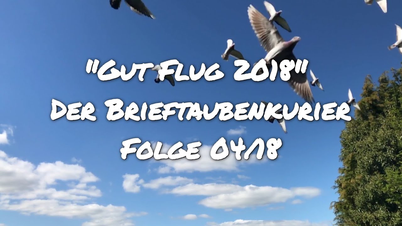 Der Brieftauben Kurier 04/2018 - Hengstmethode nach Heinz Willi Ritz