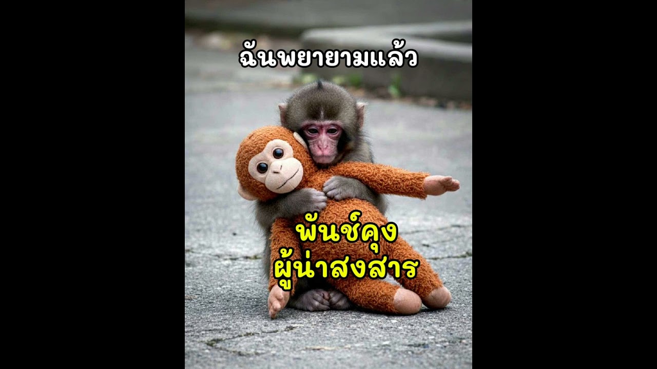 พันช์คุง ฉันพยายามแล้ว