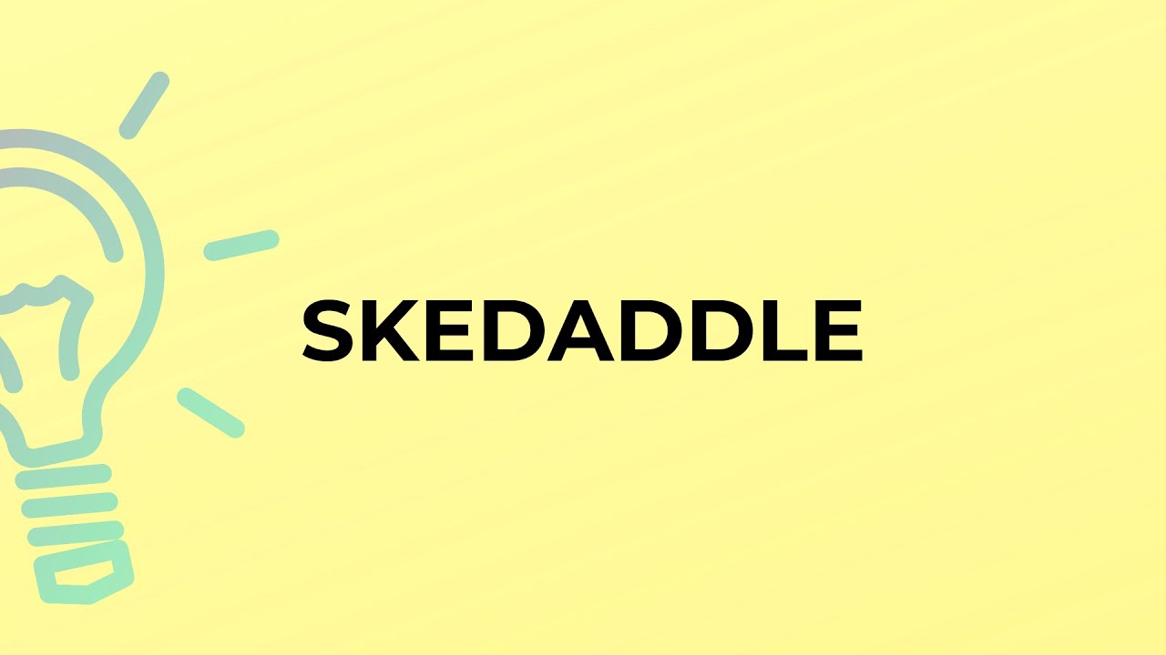 What is the meaning of the word SKEDADDLE?