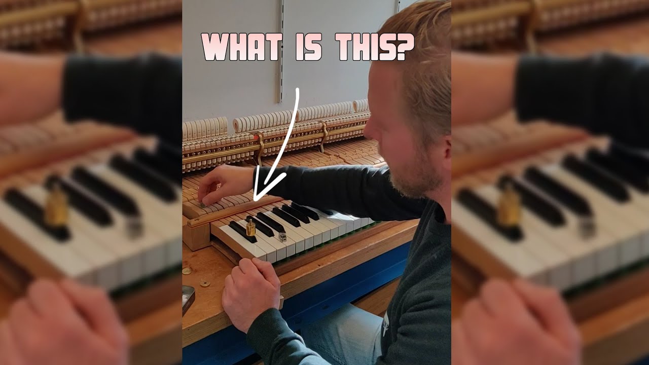 Taking a look into Pianos Maene in Alkmaar, NL