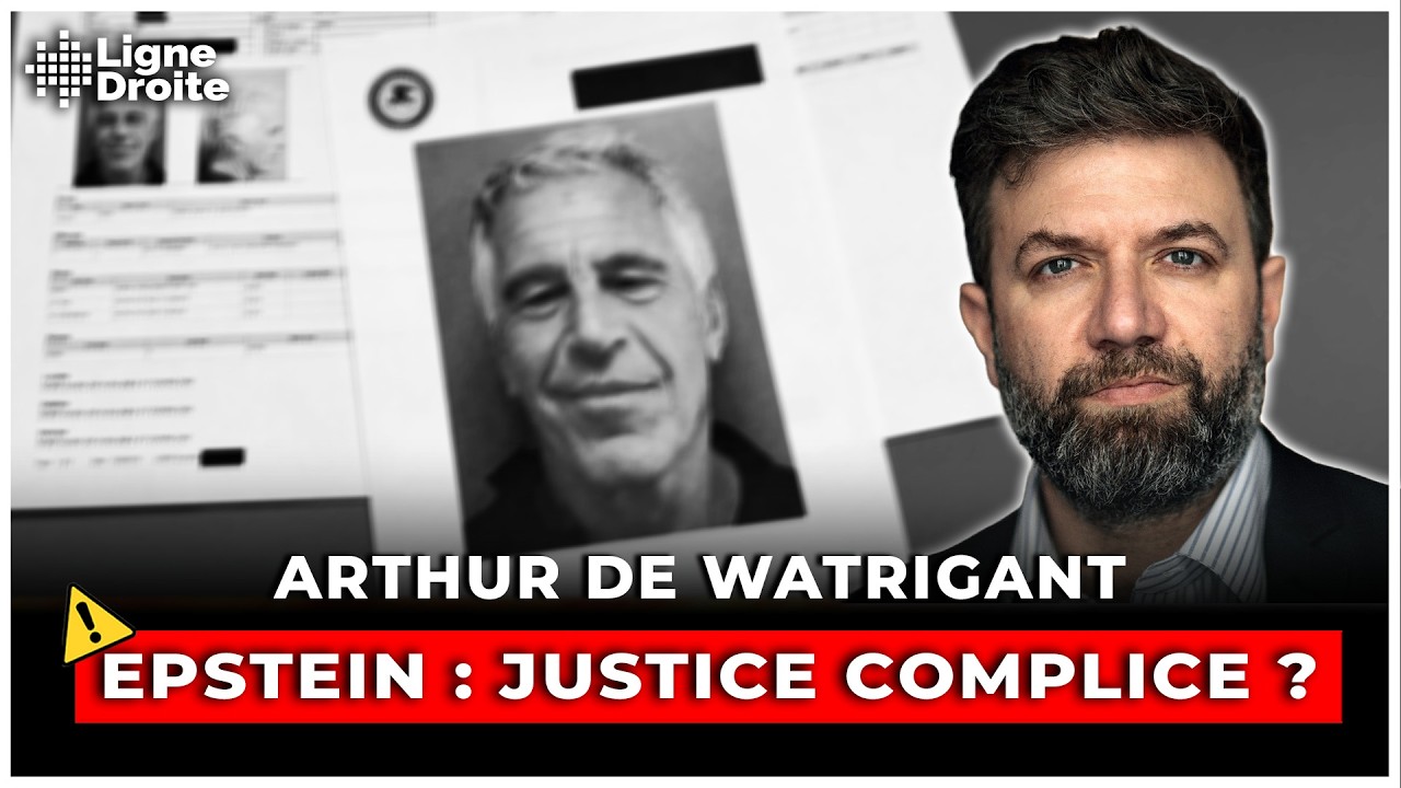 De Brunel &agrave; Jack Lang : l&rsquo;omerta fran&ccedil;aise autour d&rsquo;Epstein - Arthur de Watrigant