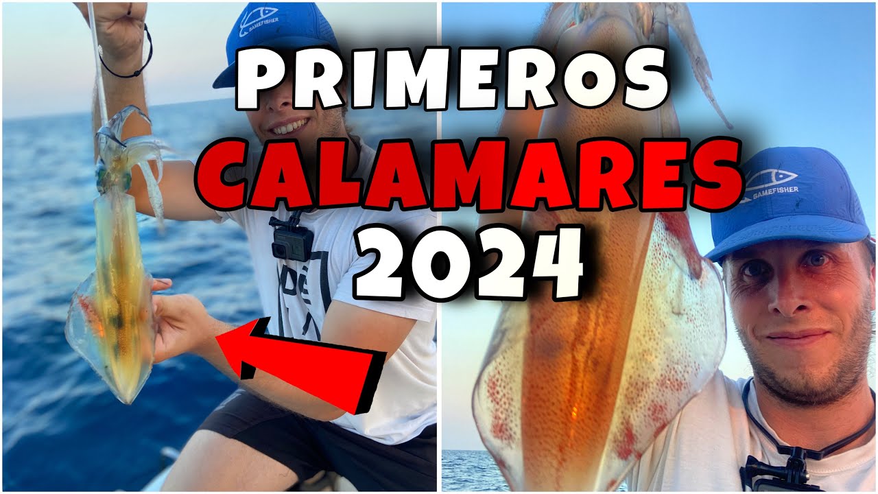 PRIMEROS CALAMARES de LA TEMPORADA 2024 TATAKI y JIGGING