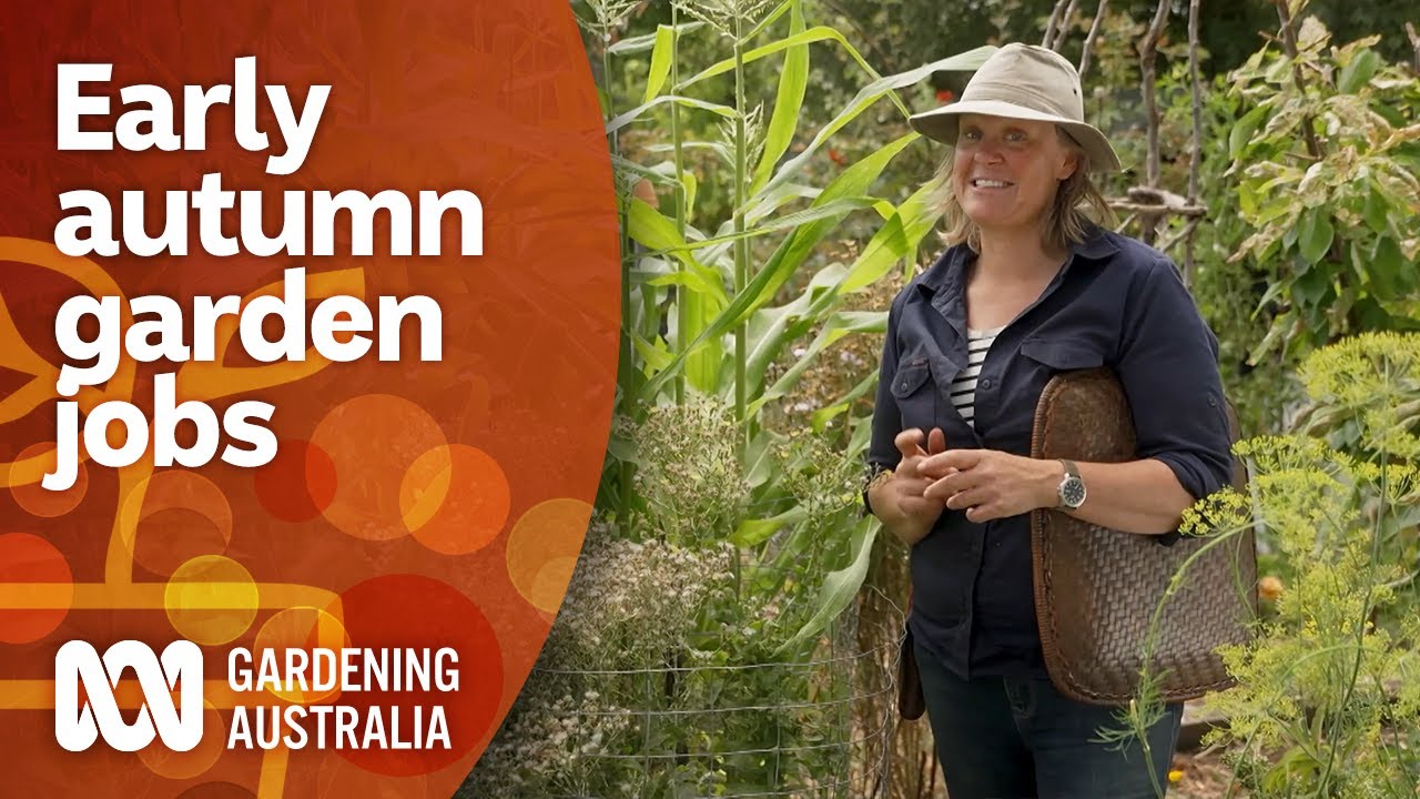 Gardening jobs to do in early autumn | Garden Inspiration | Gardening Australia