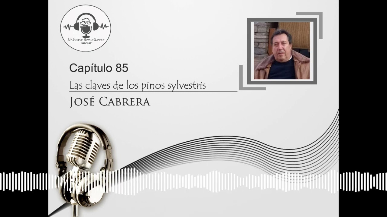 Capítulo 85.- Las claves de los pinos sylvestris. Jose Cabrera