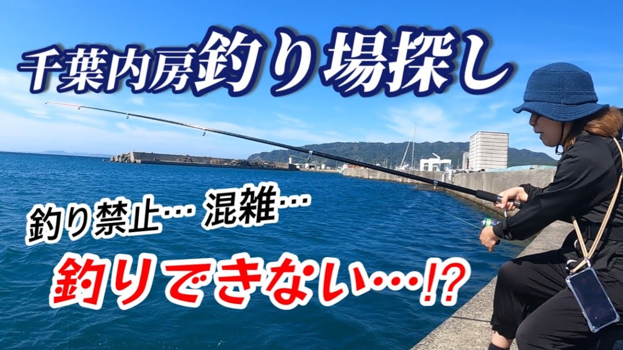 釣り場探しの旅［千葉内房館山→保田］漁港をぶらぶらしてみました