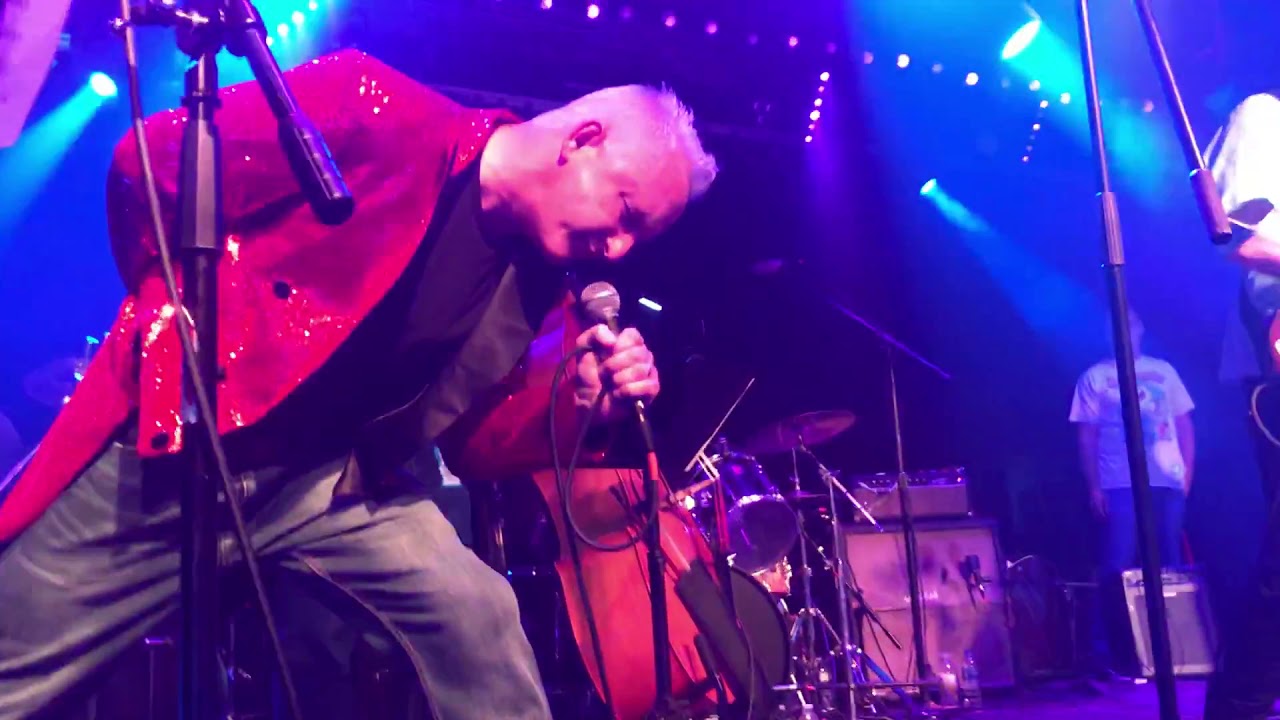 SALVO performs PAIN's Futz Said Julie LIVE