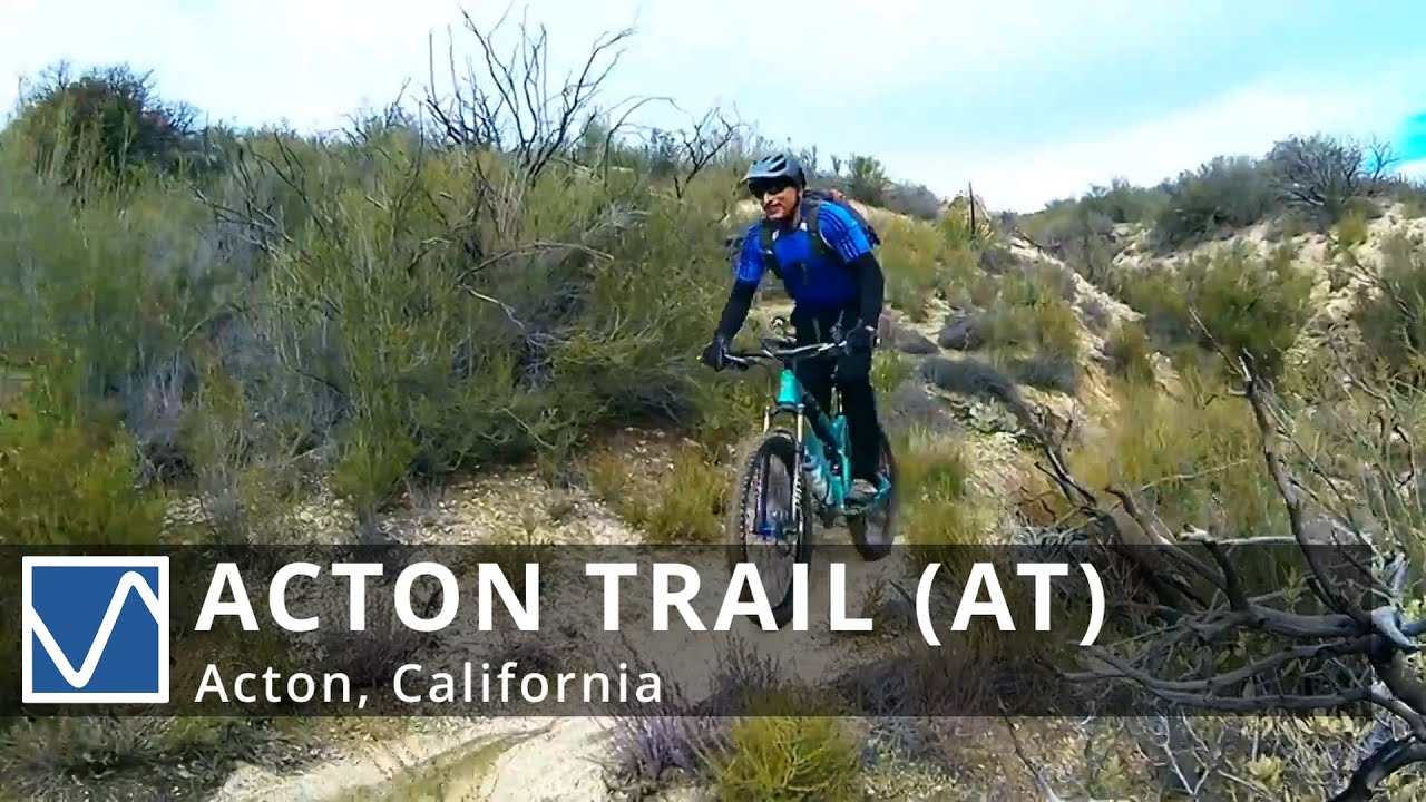 Acton Trail with Hooligans | Acton Trail | Acton, California