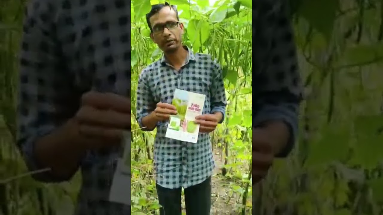 Pole Beans Moraleda