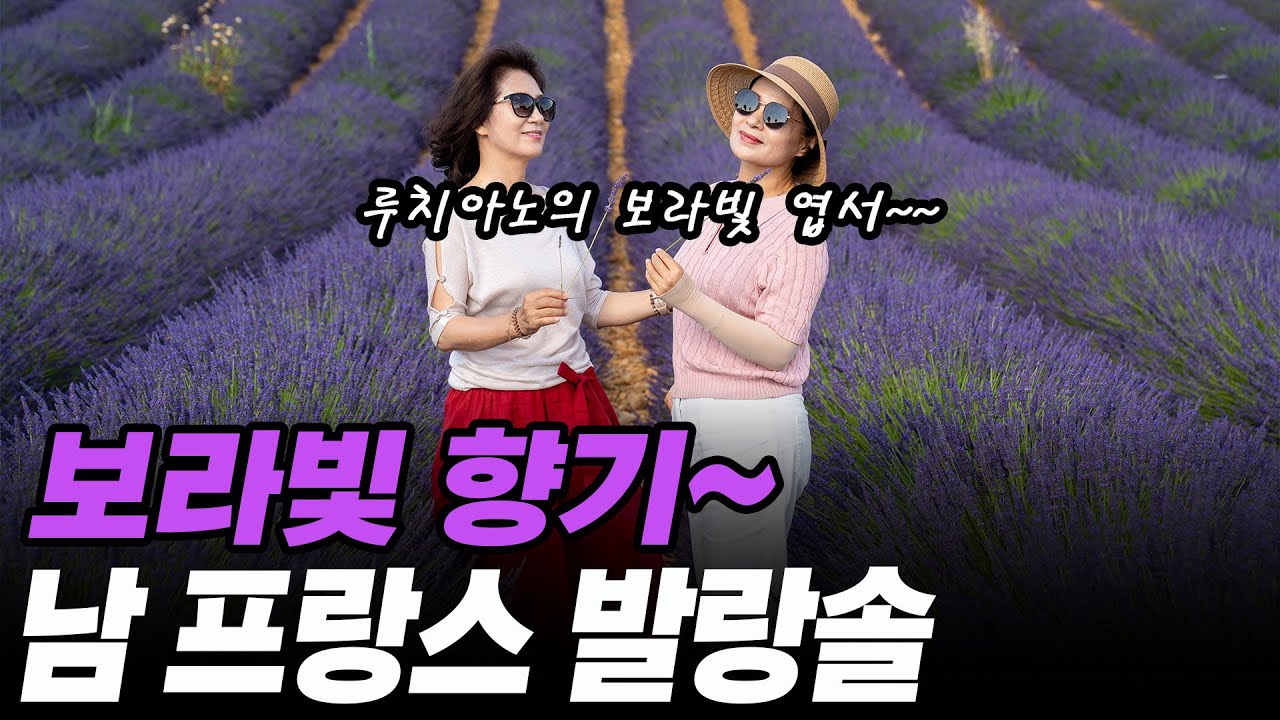 남 프랑스 발랑솔 라벤더 필드 딱 보름 간만 볼 수 있어요, 루치아노가 불러주는 보라 빛 엽서~