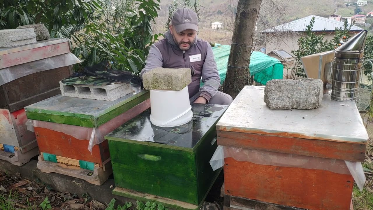 Plywood kapaklı kovana kova ile şurup verdim.