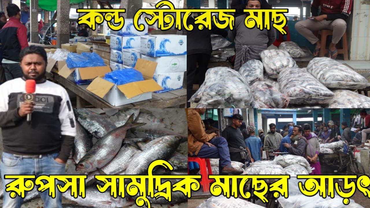 রুপসা পাইকারি মাছের আড়ৎতে নদী এবং সামুদ্রিক মাছের দাম কেমন দেখুন।@SnigdhasCollection