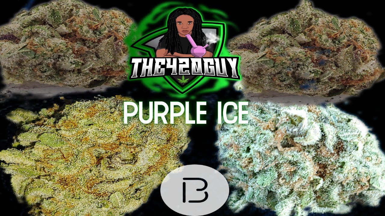 Purple Ice - Bold - Arkansas Medical Marijuana review (THE420GUY)