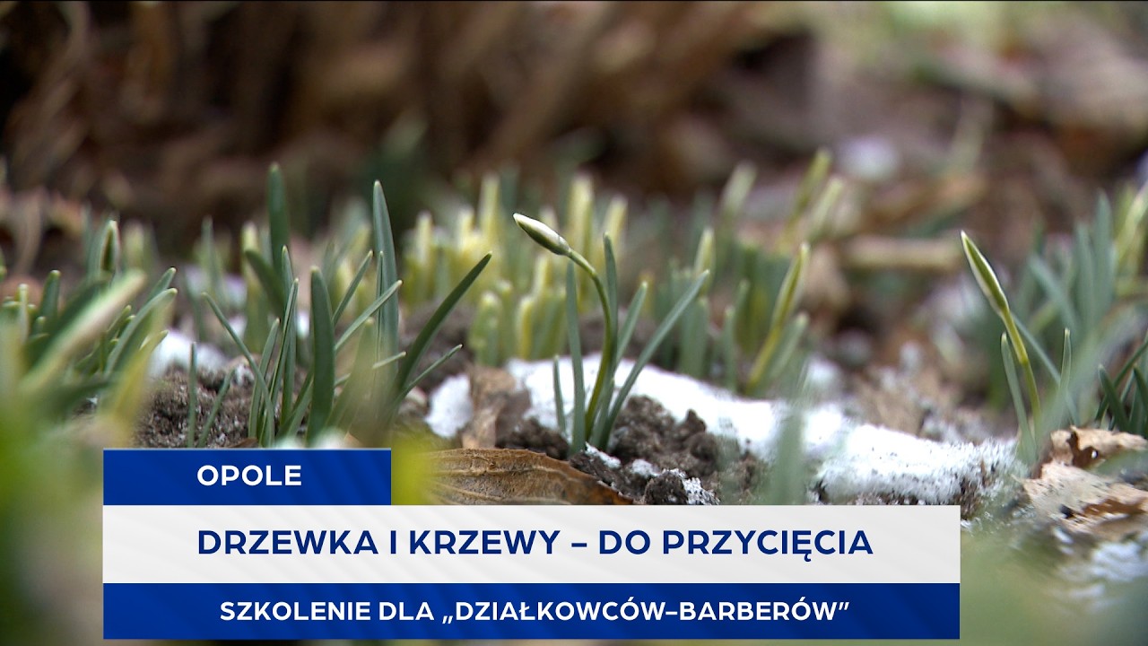 Drzewka i krzewy - do przycięcia. Szkolenie dla 