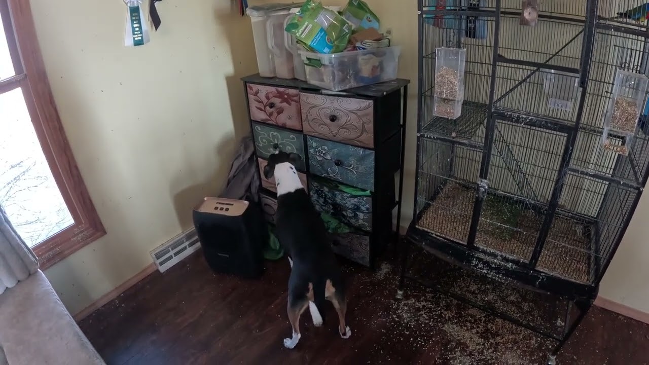 Bayberry Inaccessible (Hide in center behind drawers)